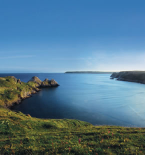 “I couldn’t find a better